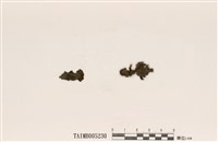 藏品(貓耳衣)的圖片